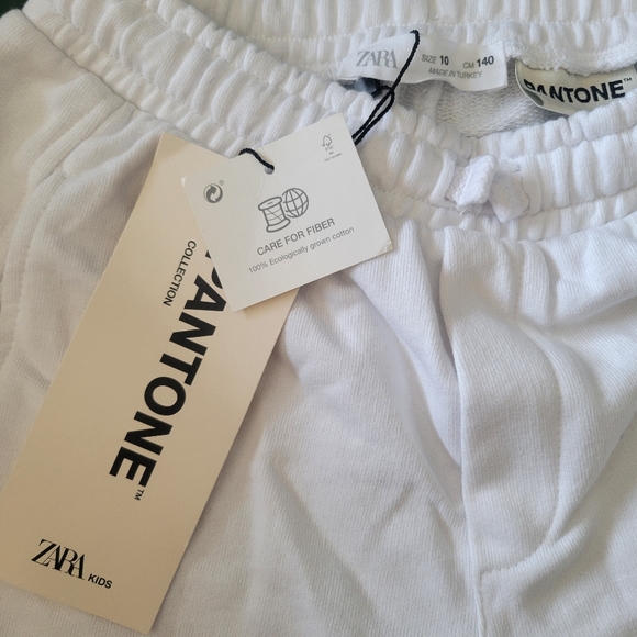 Zara Pantone shorts - Picture 3 of 3